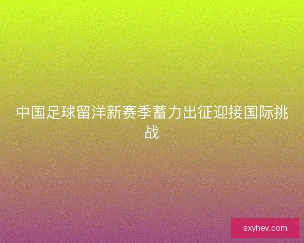 中国足球留洋新赛季蓄力出征迎接国际挑战