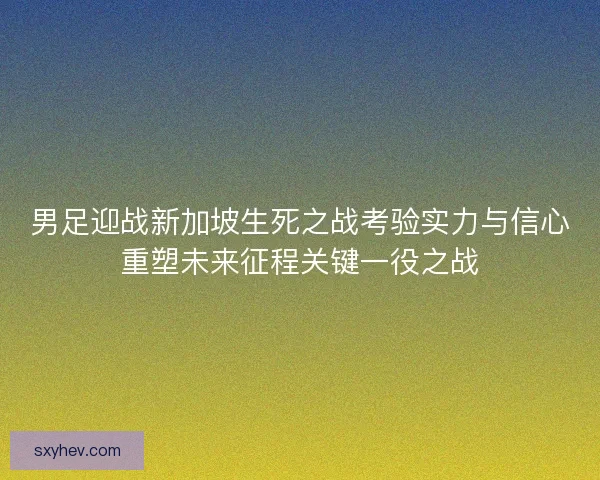 男足迎战新加坡生死之战考验实力与信心重塑未来征程关键一役之战