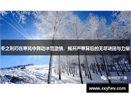 冬之利刃在寒风中舞动冰雪激情，揭开严寒背后的无尽谜团与力量