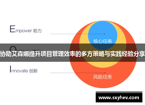 协助艾森娜提升项目管理效率的多方策略与实践经验分享