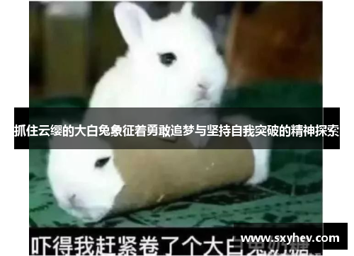 抓住云缨的大白兔象征着勇敢追梦与坚持自我突破的精神探索