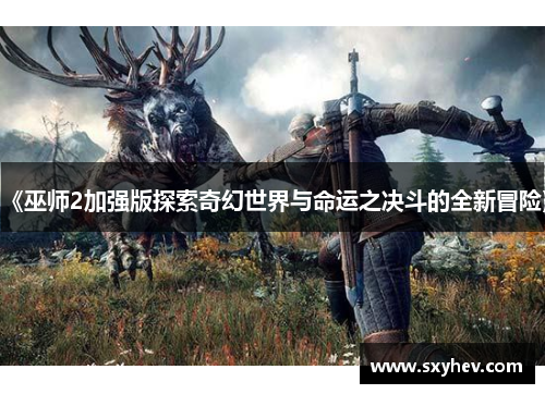 《巫师2加强版探索奇幻世界与命运之决斗的全新冒险》