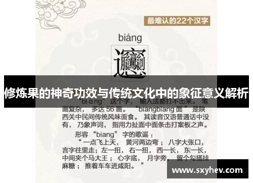 修炼果的神奇功效与传统文化中的象征意义解析